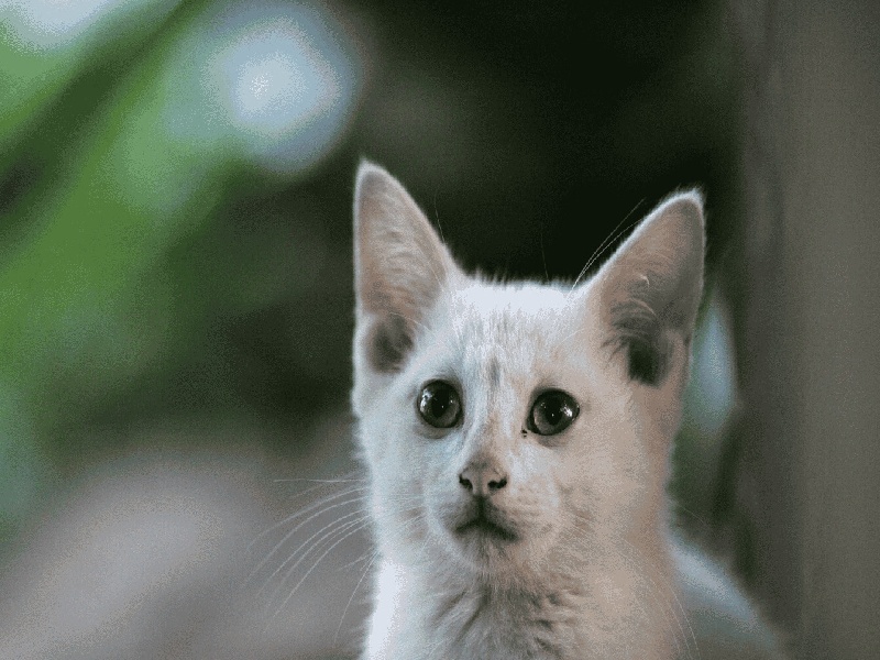 线上问诊试管流程,哈尔滨做婴儿试管医院